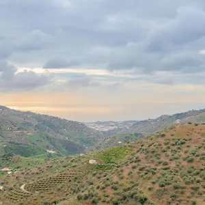 Cortijo La Encina Sayalonga